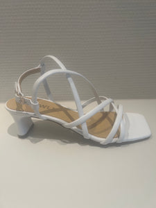 TIBET BLANCO