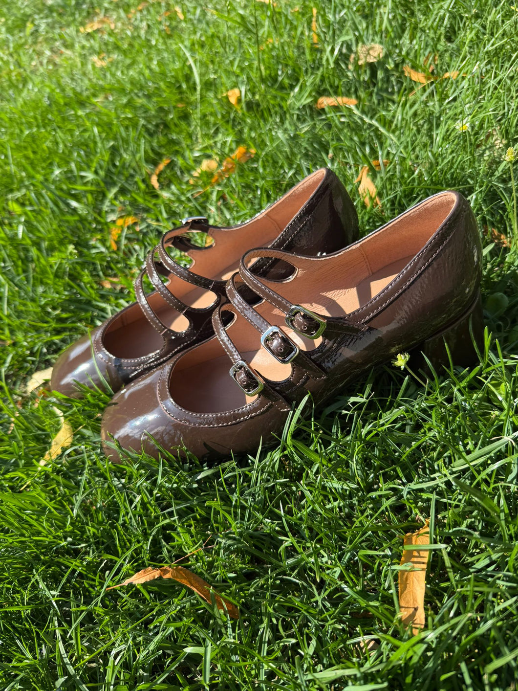 DARK BROWN