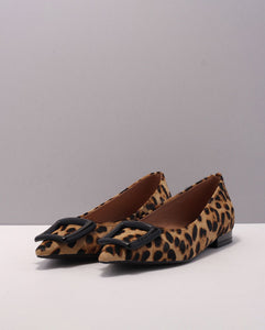 LEOPARDO