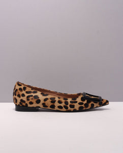 LEOPARDO